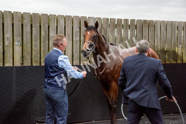 210824-Race 4-City Of Troy-1060 - Race 4 3.35pm Juddmonte International Stakes
