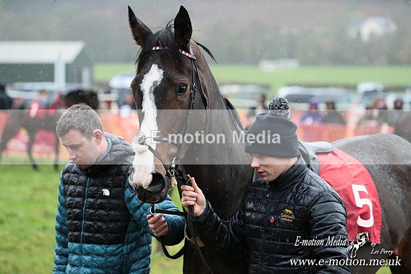 PtP 091125  0235 - Point-to-Point Wales Area Club Lower Machen, Gwent 09/11/25