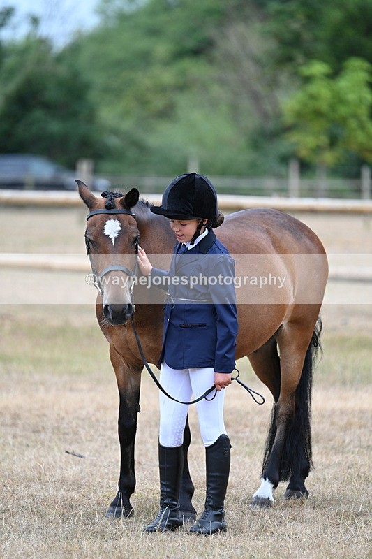 WJ7_9655 - Class 5 Most Handsome Gelding (up to 14.2hh)