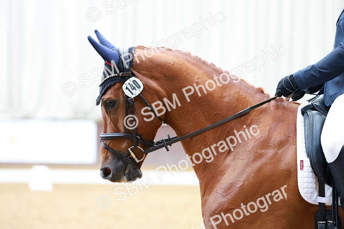 SBM_001001 - Class 12 - Novice 2