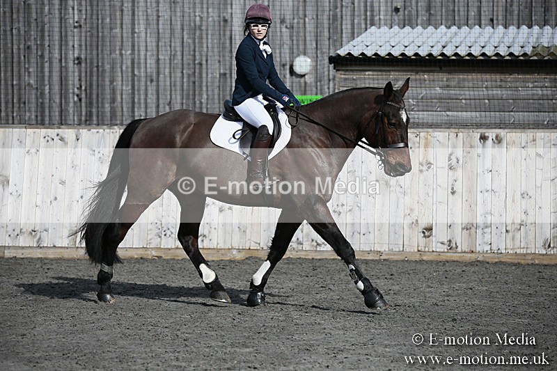BVRC SJ 170319 70 - Bourne Valley Riding Club Showjumping 17/03/19