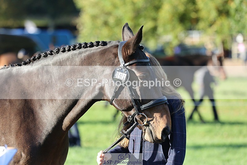 241027-084659-14818 - 358-Jessica.Meyer-LACKAGHMORE.VANDANGO