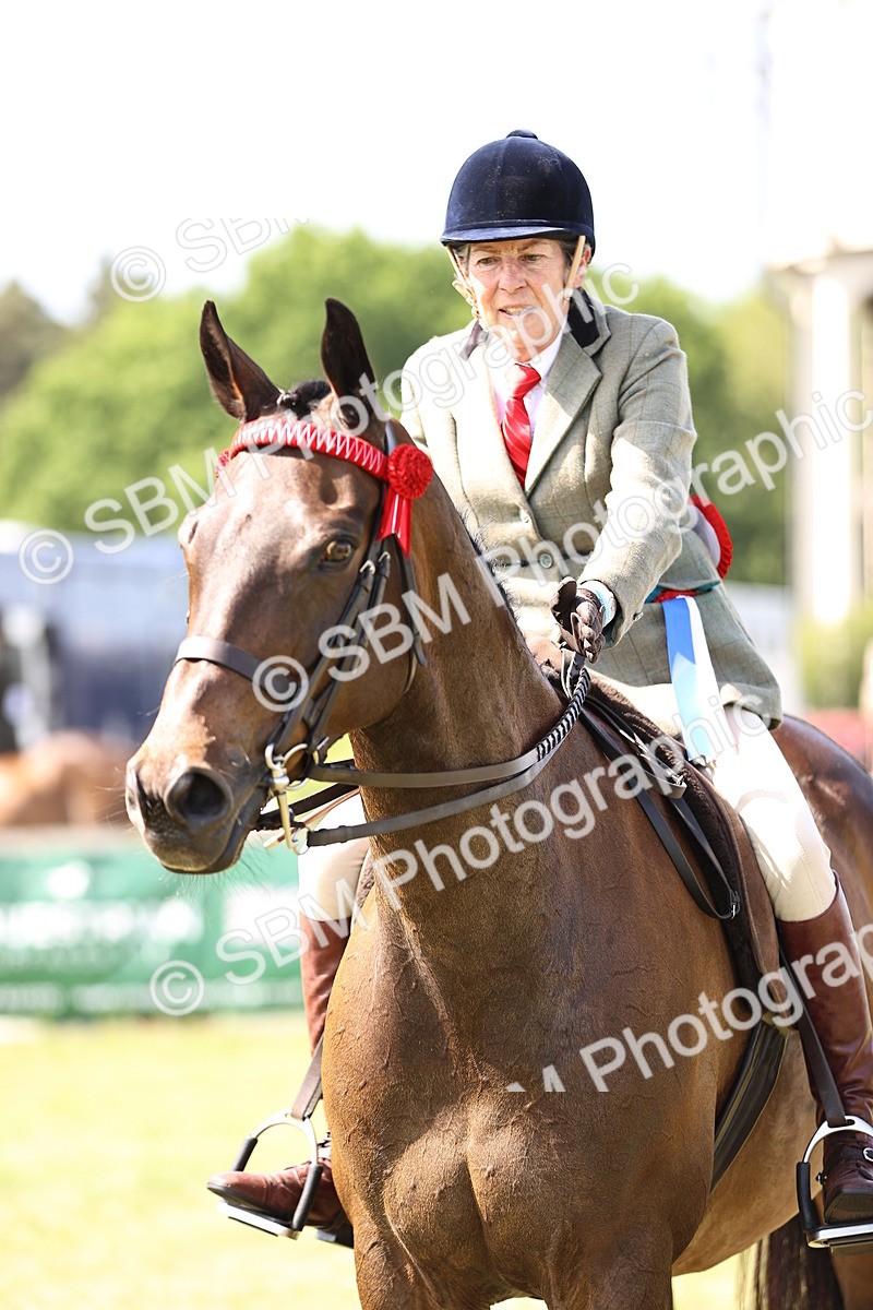 SBM_13084 - Class 75-76 LIHS BSHA Rising Star Hack Riding Horse