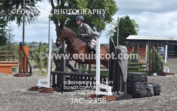 JAC_2356 - CLASS 3 Intermediate Working Hunter