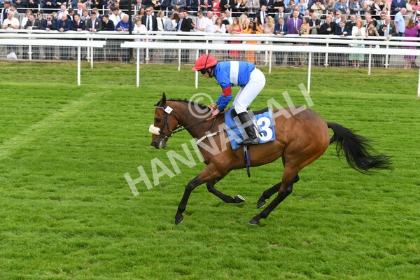 yr11062022r2-73 - Race 2 2.00pm Queen Mother's Cup