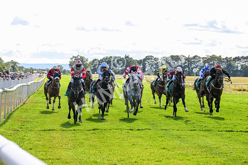 020725-Race 7-Manila Scouse-3235 - Race 7