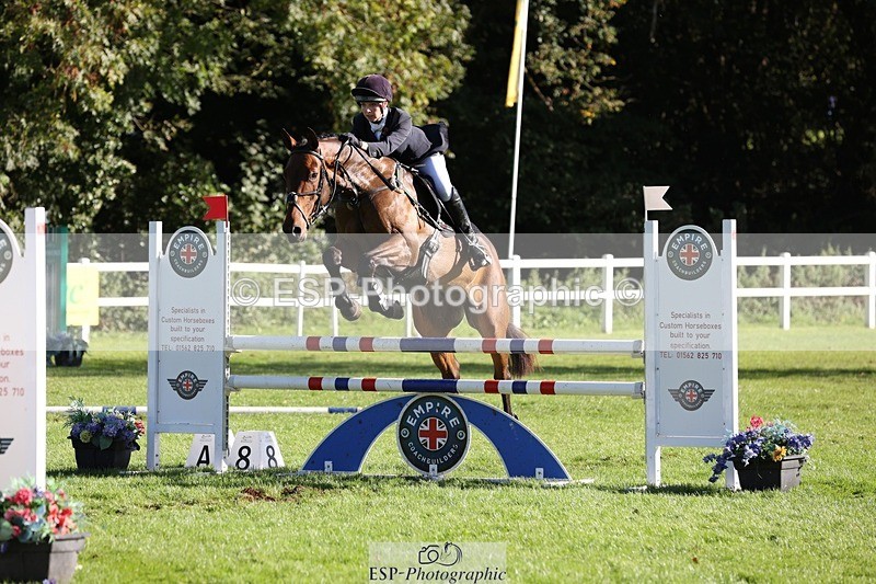 231022-111228-25025 - 617-MR.MISCHIEVOUS-Megan.Brown-TrotUp+SJ