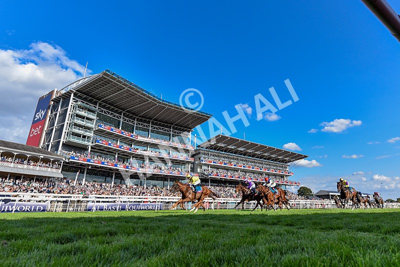 220826-Race 7-Raammee-6263 - Race 7 17.20pm Sky Bet Dav Reid Finale Handicap