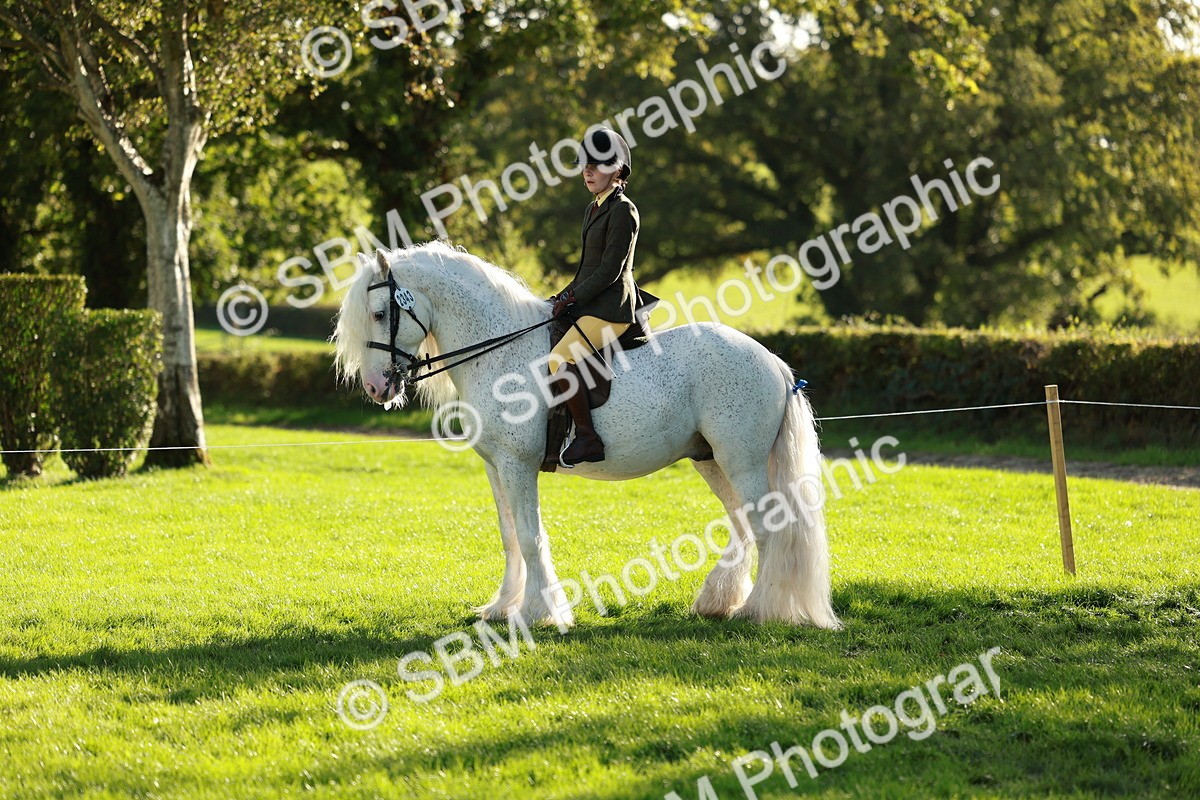 SBM_28731 - S7 - Novice & Newcomer Ridden Pony