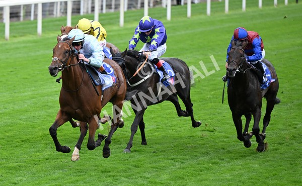 200825-092 Pride Of Arras - Race 3 3.00pm Sky Bet Great Voltigeur Stakes