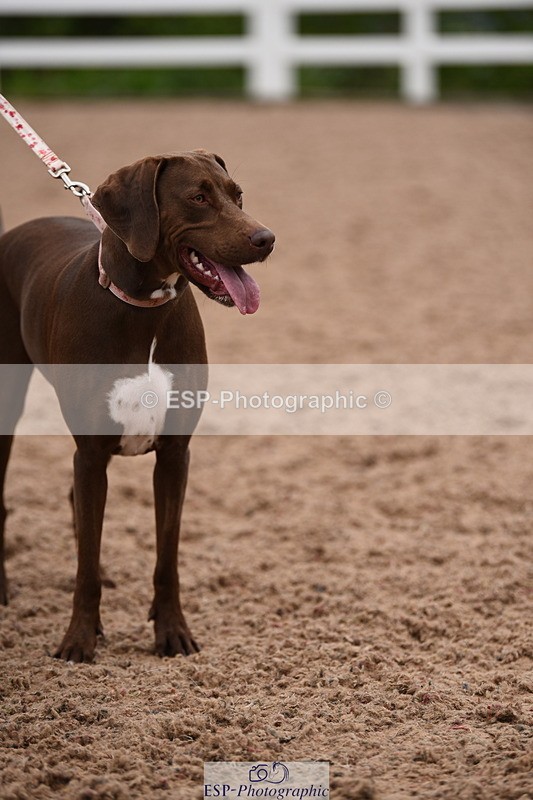 240518A-122342-01147 - Cls 4 Best Crossbred