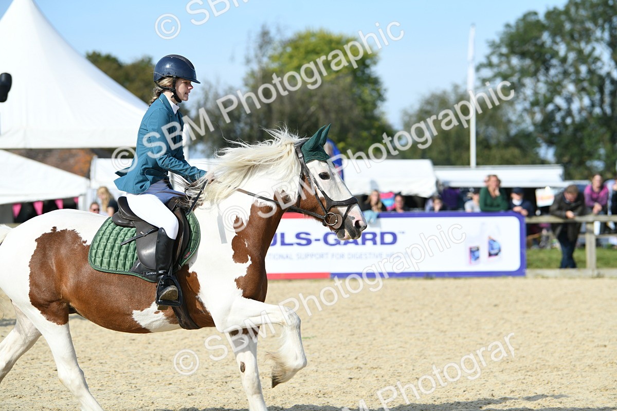 SBM_61587 - j25 - Junior Horse 80cm Championship