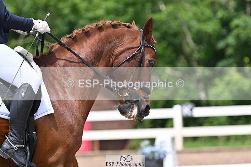 240622A-132656-10806 - Cls 37 BD Music Adv Medium