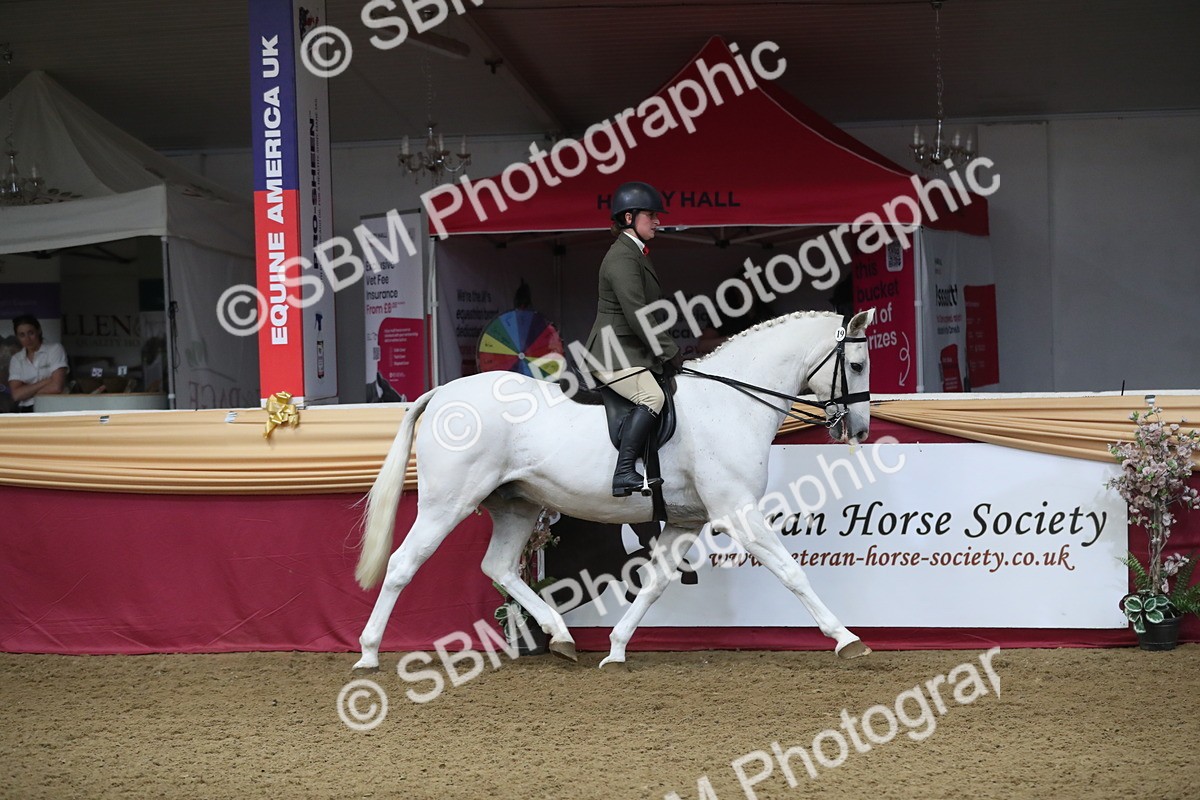 SBM_10482 - Class 102 Equitation (best rider) Adult