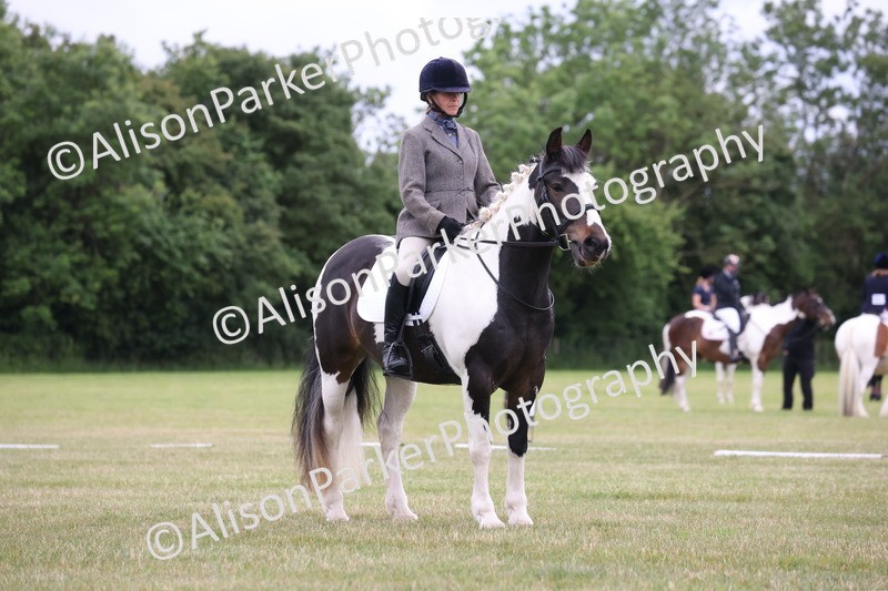 20250605-0583 - Class 1 - Intro 2