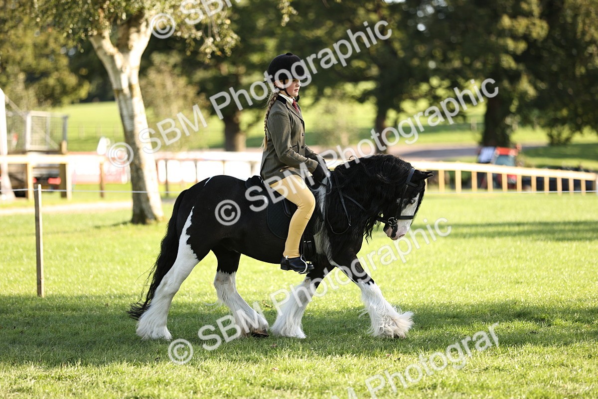 SBM_29428 - S7 - Novice & Newcomers Ridden Pony