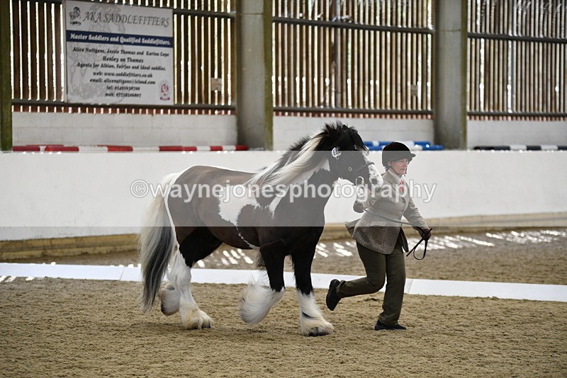 WJ5_5030 - Class 7 In hand coloured / odd coloured