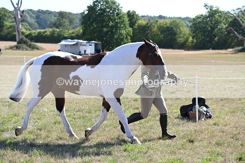 WJ6_4234 - Class 16 Condition & Turn Out