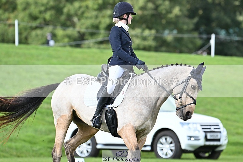 231020-141809-10872 - 664-TEMPLEMORE.WILD.ONE-Bella.Stevens-DR