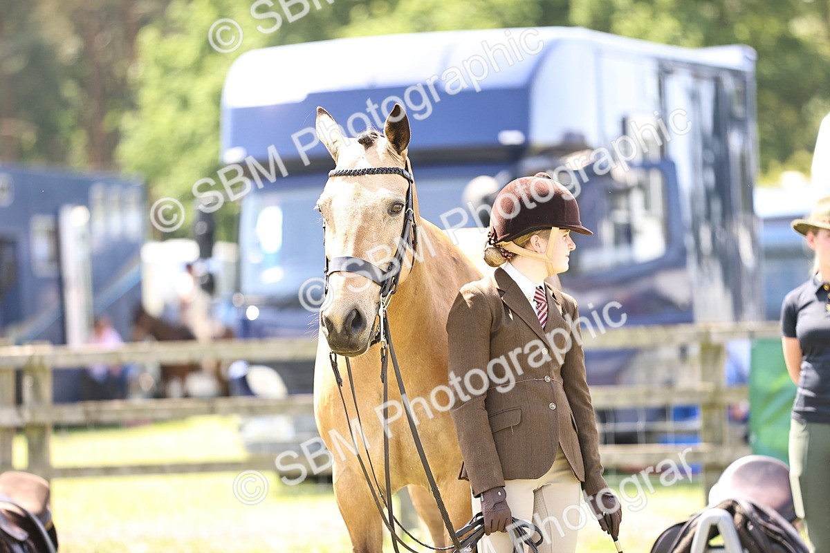 SBM_15178 - Class 79-80 - LIHS BSHA Rising Star Ridden Hunter