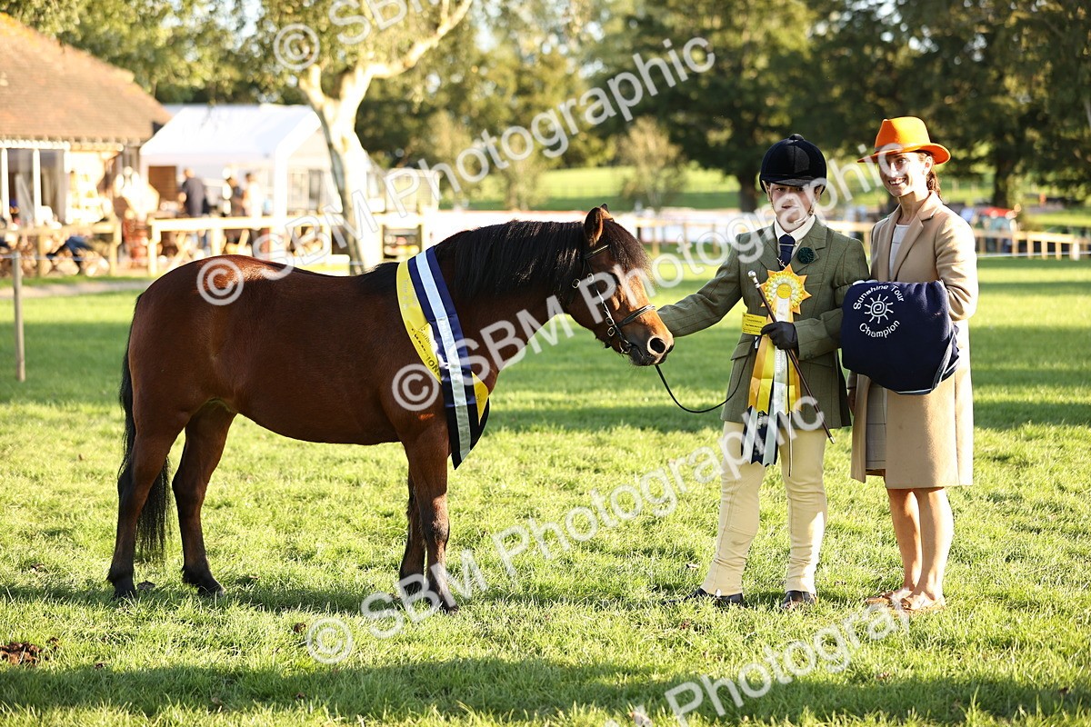 SBM_30134 - Novice & Newcomers Supreme Championship