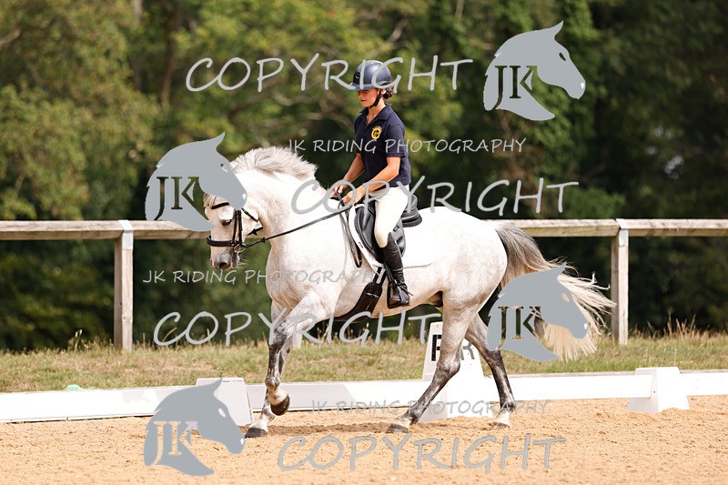 _R6A2777 - Dressage Morning
