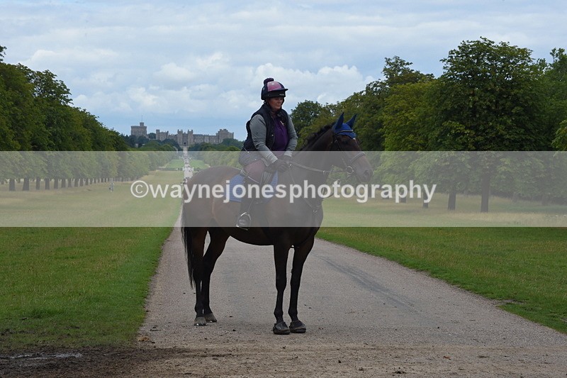 TT3_9699 - Time at Crossing 11:28 to 13:16