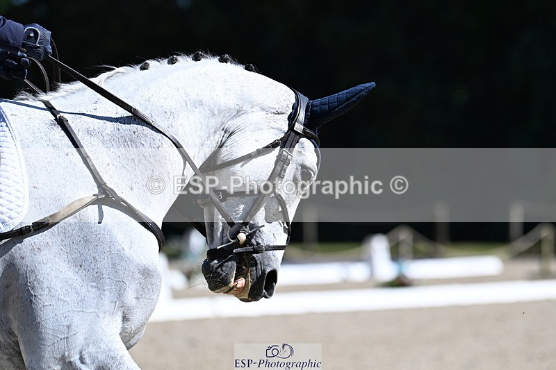 250522A-160214-04813 - C-228-Lizzie.Luxton-ST.TROPEZ