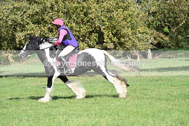 WJ7_0227 - Time 12:53 to 13:03