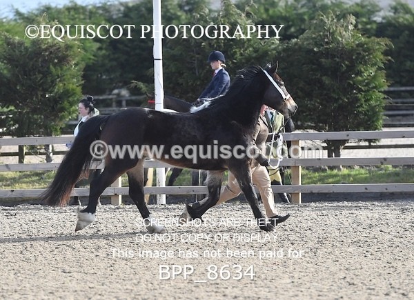 BPP_8634 - RING 2 - M&M