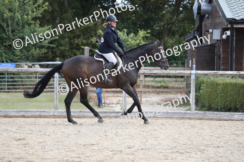 20260831-2637 - Class 15 - Ridden Retraining of Racehorses