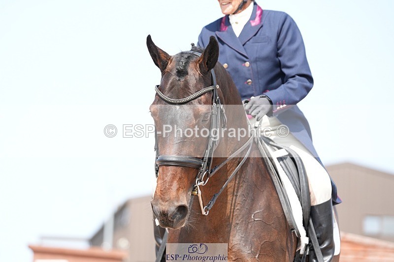 250815-135828-01560 - 015-Susan.LanzWellshead.Foxtrot