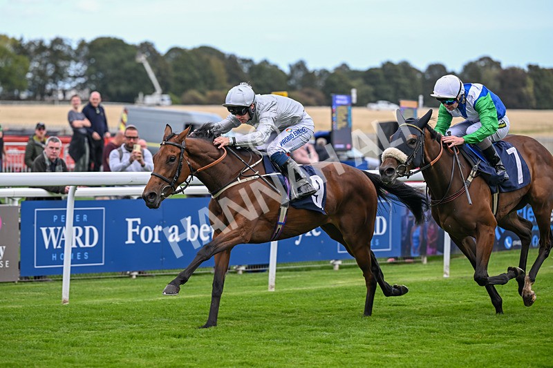 230925-Race 1-Mariotto-9694 - Race 1