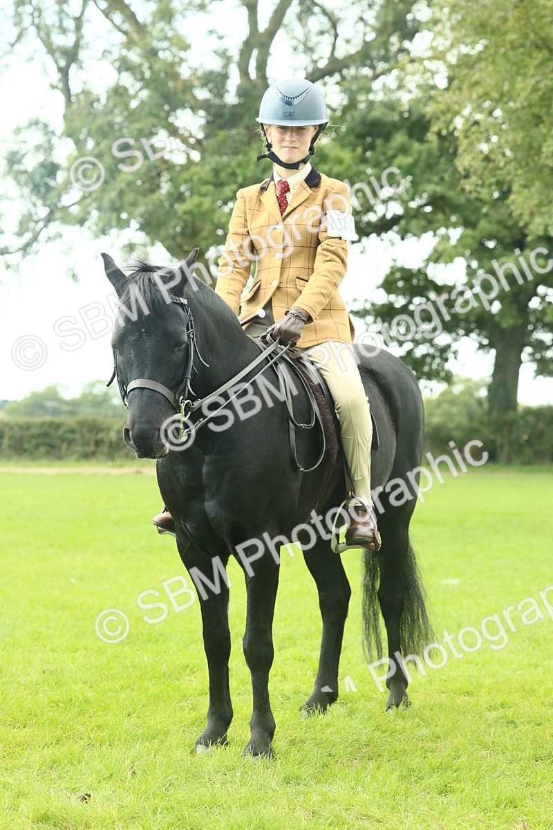 SBM_66459 - S34 - Rehabilitated Rescue Horse & Pony In Hand & Ridden
