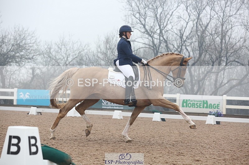 240217A-123641-02927 - 274-Clare.Smith-Dori.Dragon.Fly