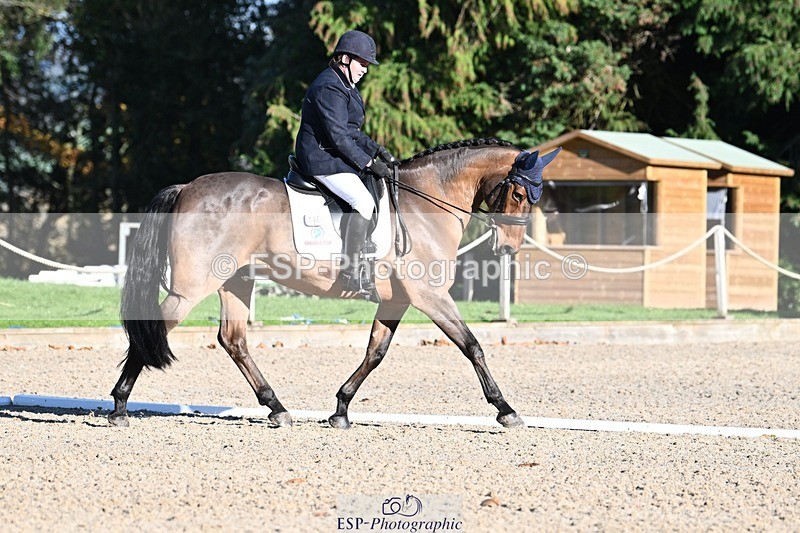 231110-133032-00967 - Cls 4 Novice 39Q