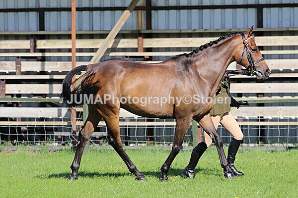 SIAL5729 - Ring 1 & 3