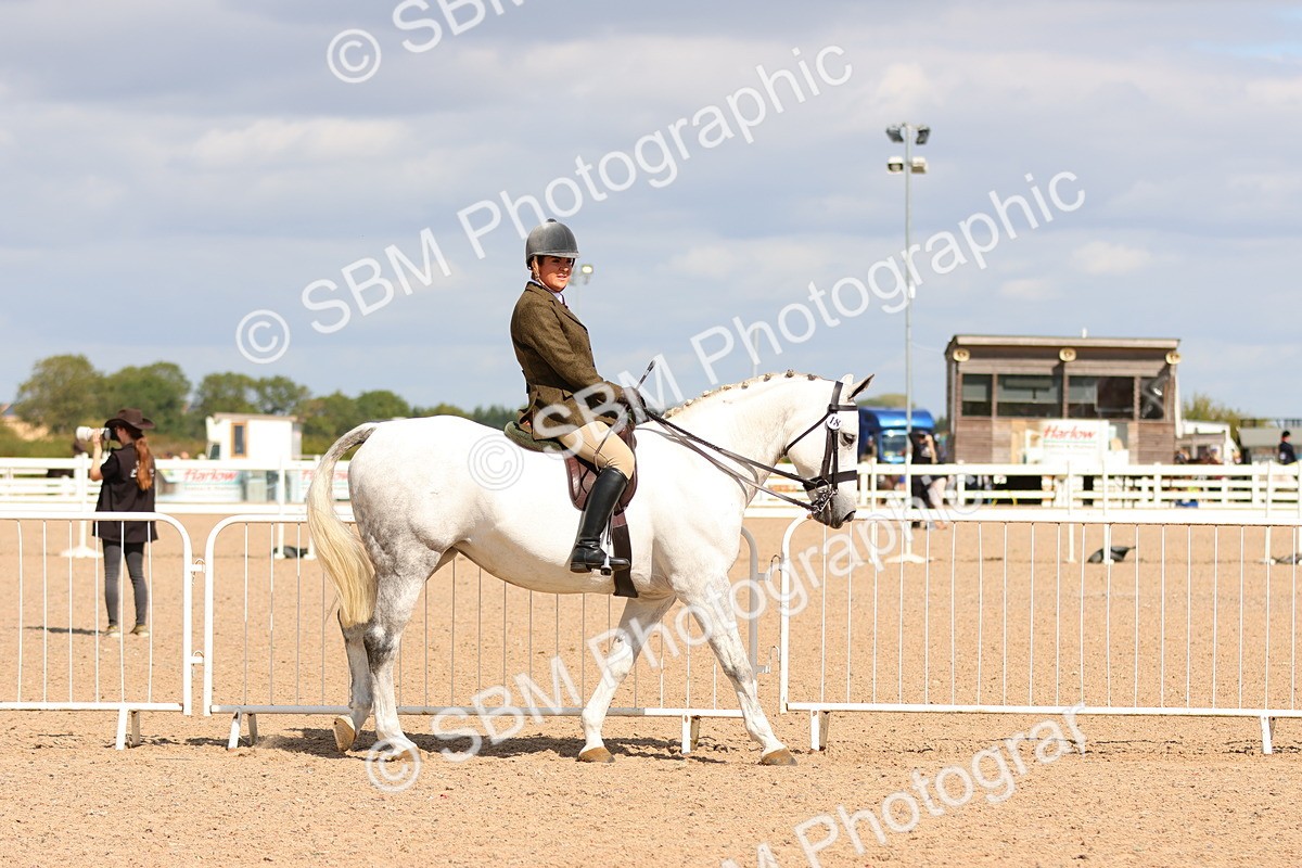 SBM_13168 - Class 211 - Ridden Hunter - Small