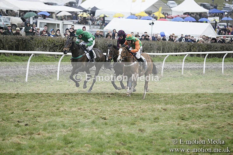 PtP 020418 -241 - Old Berks Point-to-Point Races Easter Monday 02/04/18