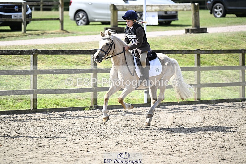 240823X-120714-16379 - 60cm R2 11.00 to 12.30