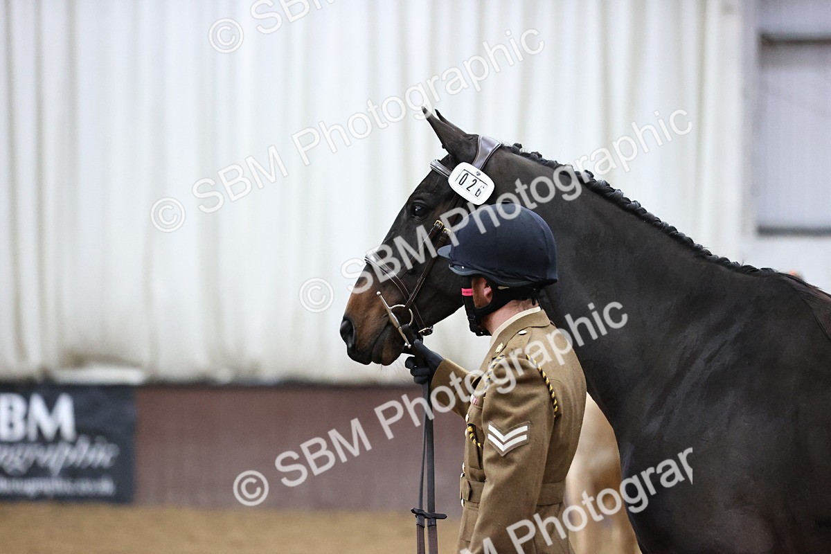 SBM_5207 - Class 39 - In Hand Gelding
