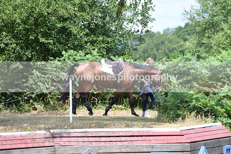 WJ5_0041 - Time 12:30 to 13:00