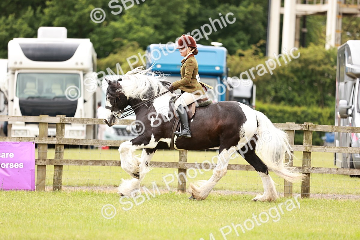 SBM_06146 - Class 39-41 TGCA In Hand and Ridden
