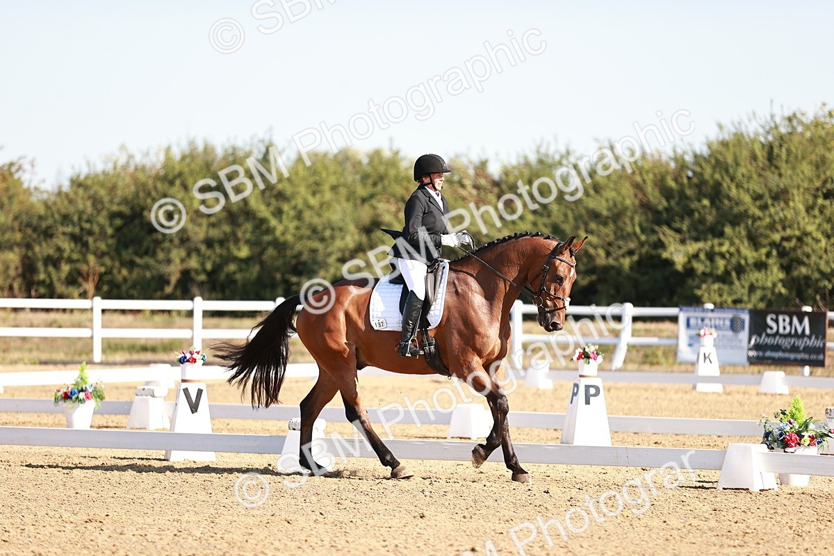 SBM_004318 - Class 12 - Novice 5 - 9.07-10.10