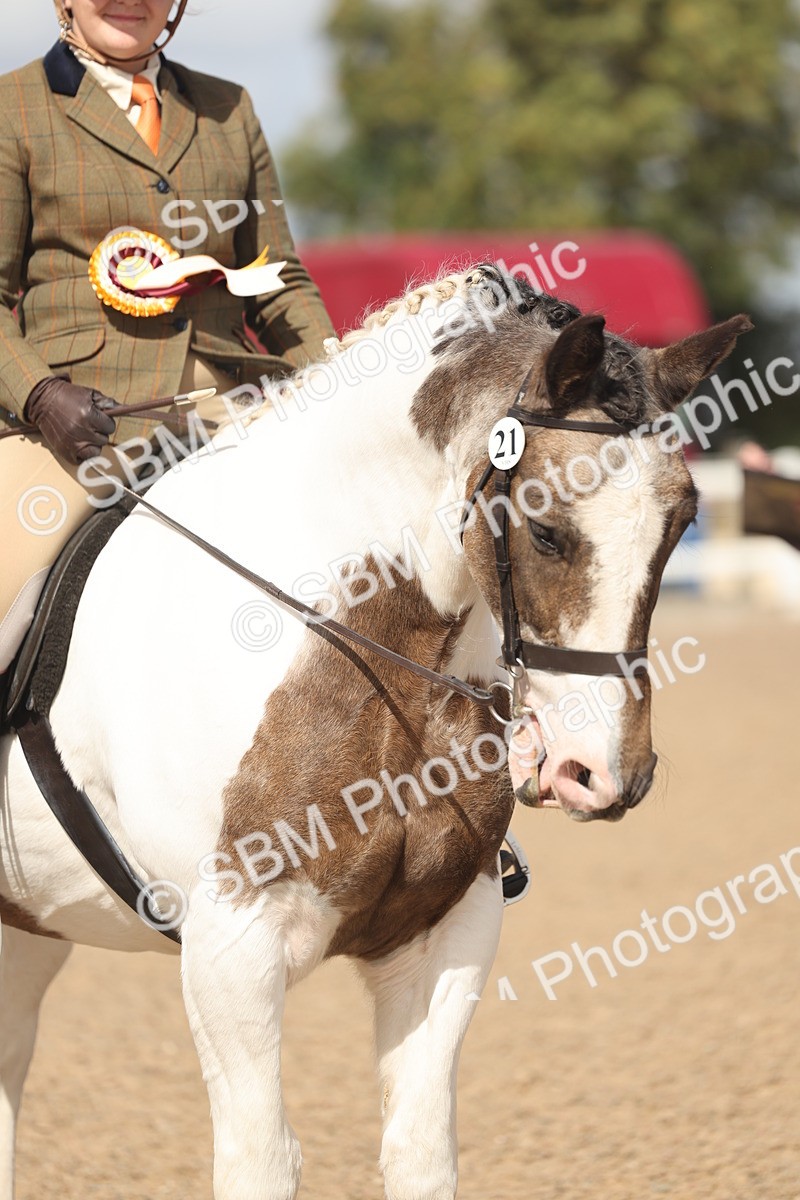 SBM_23274 - Class 807 - young Rider 11 to 16 Years