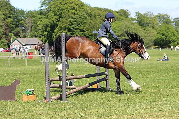 IMG_4056 - Working Hunter