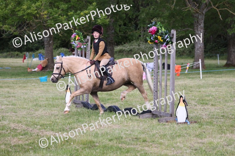 20260614-0457 - Class 20 - Beginners Working Hunter Pony