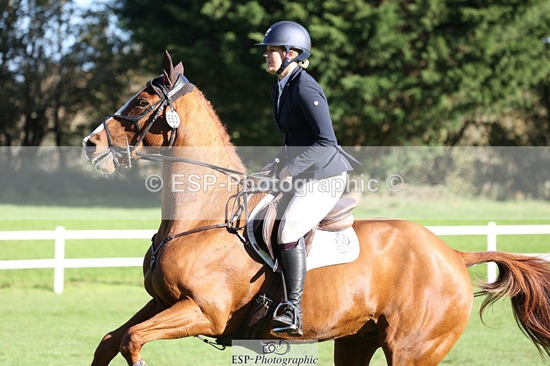 231022-110156-24907 - 663-GROOVY.GUY-Hannah.Watson-TrotUp+SJ