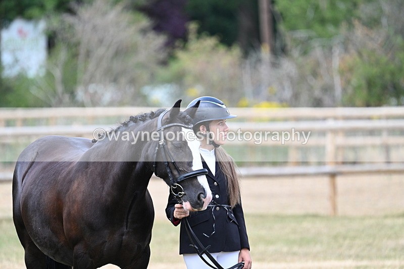 WJ7_1544 - Class 4 Prettiest Mare up to 14.2hh in hand
