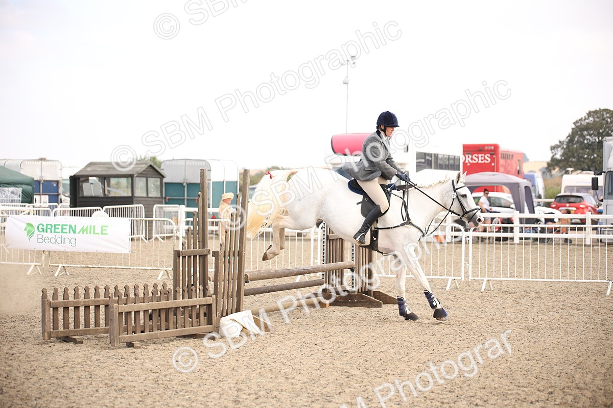 SBM_16064 - Class 408b - Working Veteran 70cm (20+)